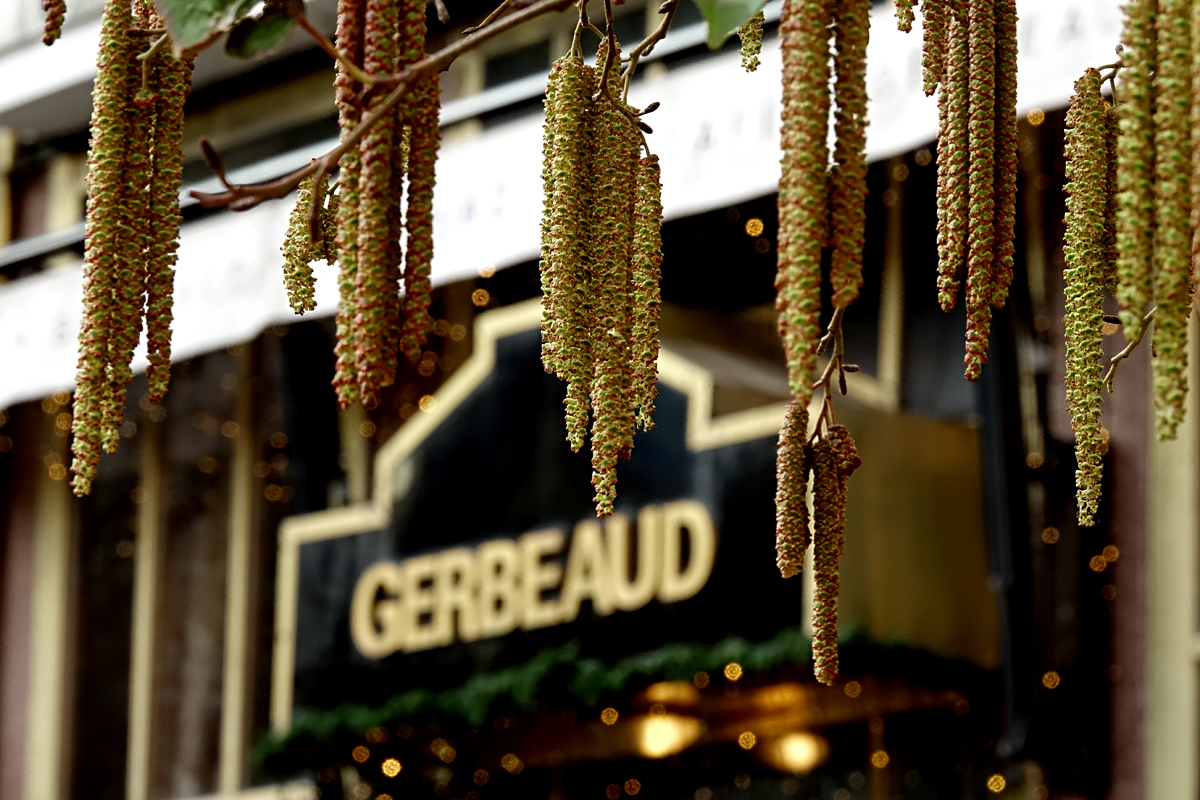 Budapest - Gerbeaud