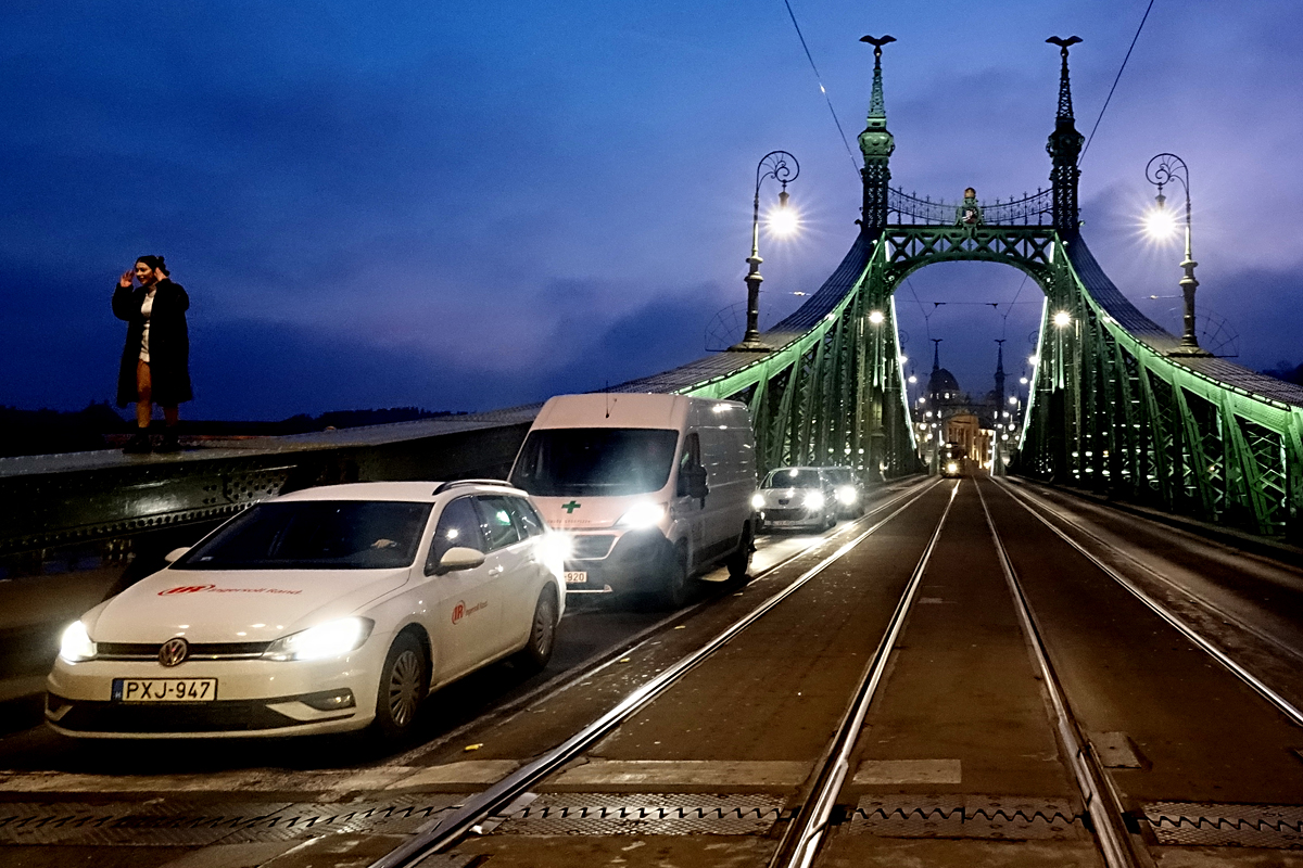 Budapest - Ponte della Libertà
