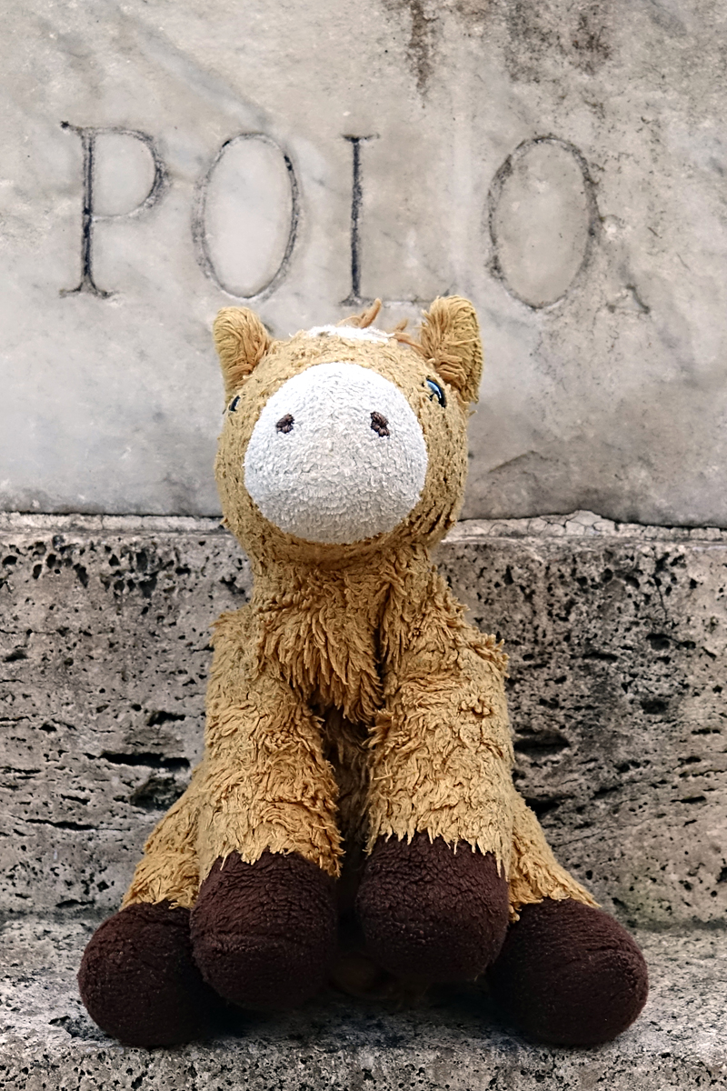Rom - Pferti vs. Polo