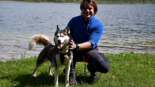 Huskywanderung bei Ebensee