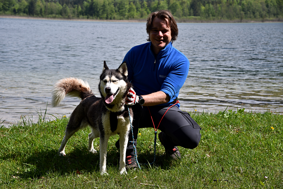 Huskywanderung bei Ebensee Huskywanderung bei Ebensee