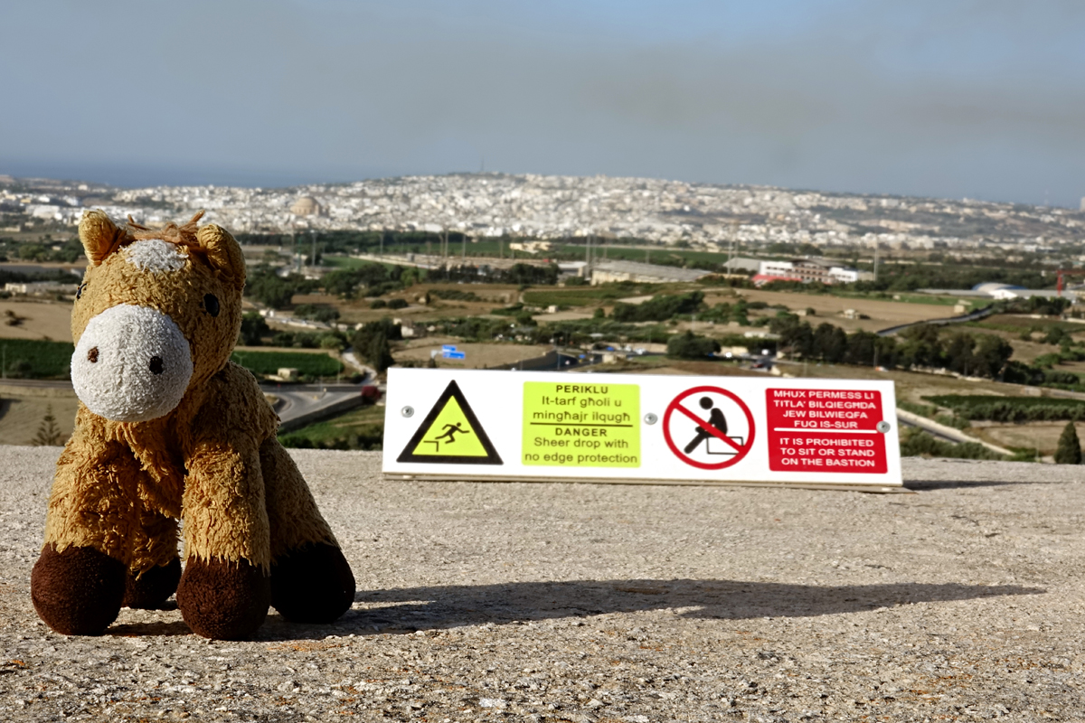 Mdina - Pferti lebt gefährlich
