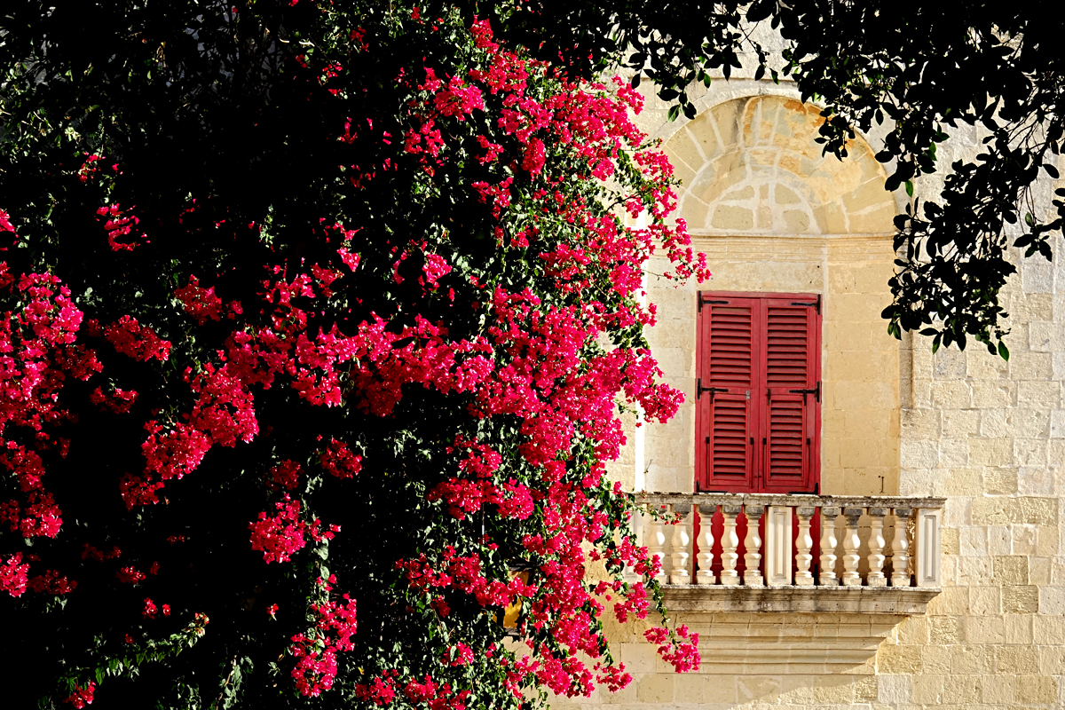 Mdina - Altstadt