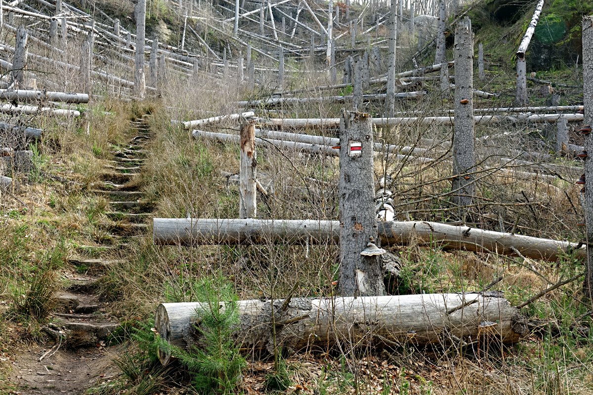 Wanderung zum Kleinen Prebischtor