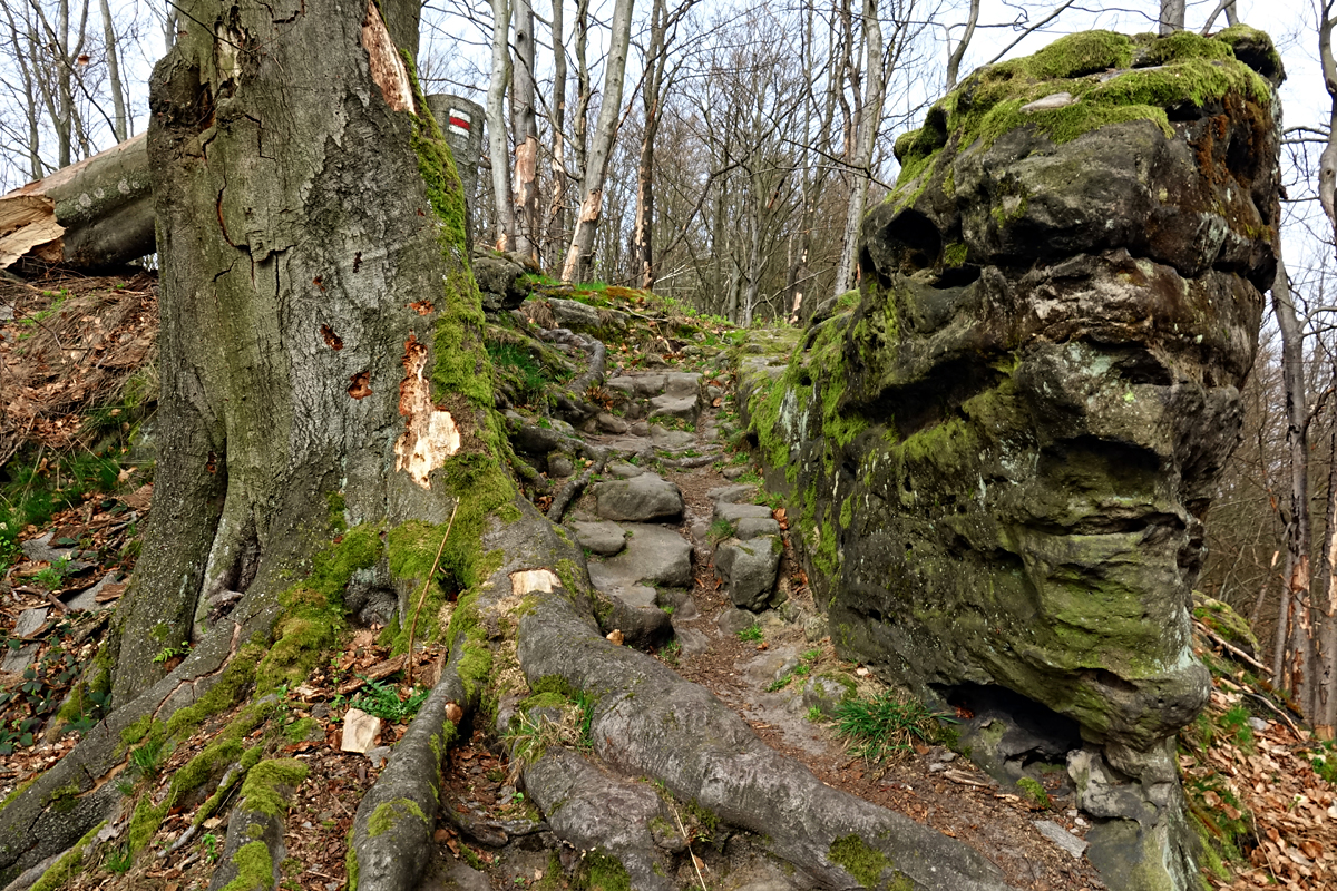 Wanderung zum Kleinen Prebischtor