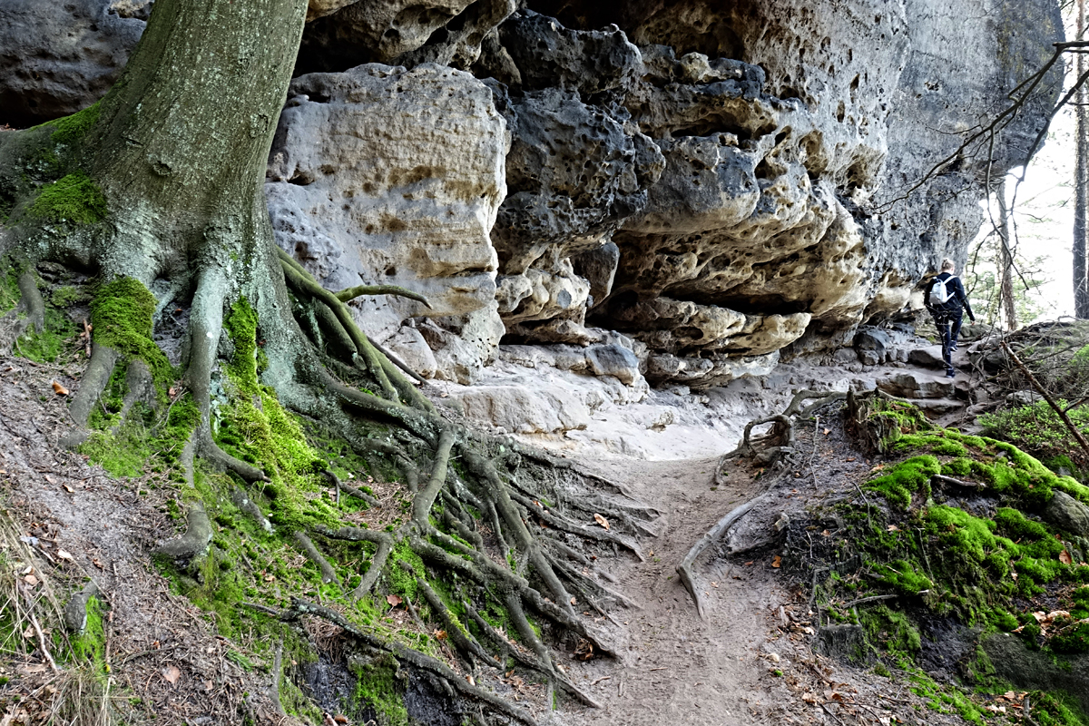 Wanderung zur Felsenburg Šaunštejn (Schauenstein)