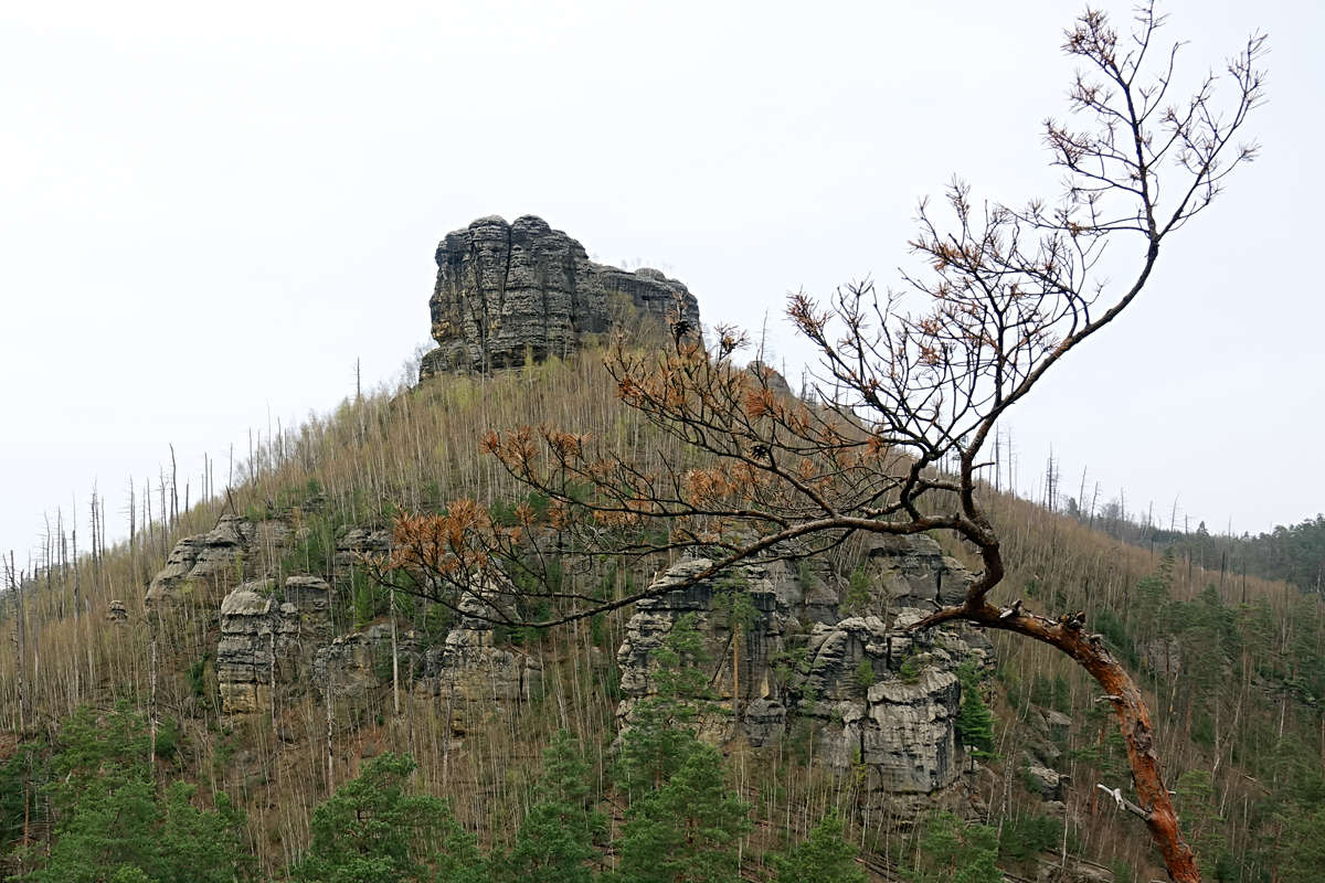 Blick von der Felsenburg Falkenštejn (Falkenstein)
