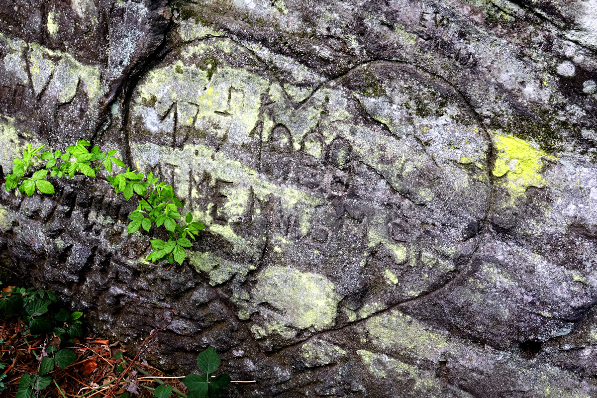 Felsenburg Falkenštejn (Falkenstein)