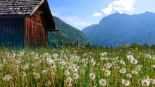 Altaussee