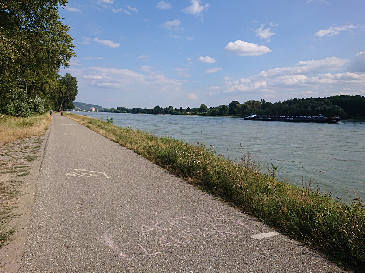 Backyard Ultra Korneuburg 2024