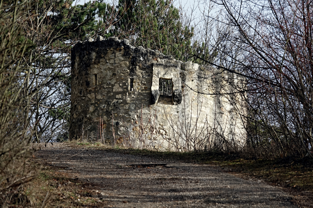 Hölltum von Wöllersdorf 2021