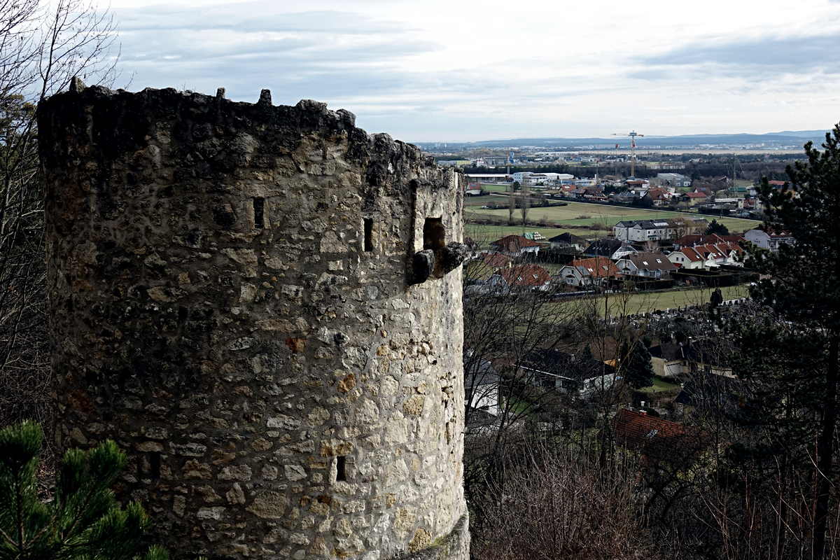 Hölltum von Wöllersdorf 2021