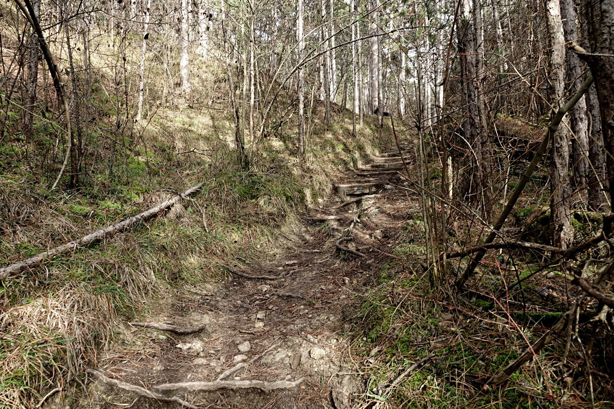 Wanderung Wöllersdorf 2021