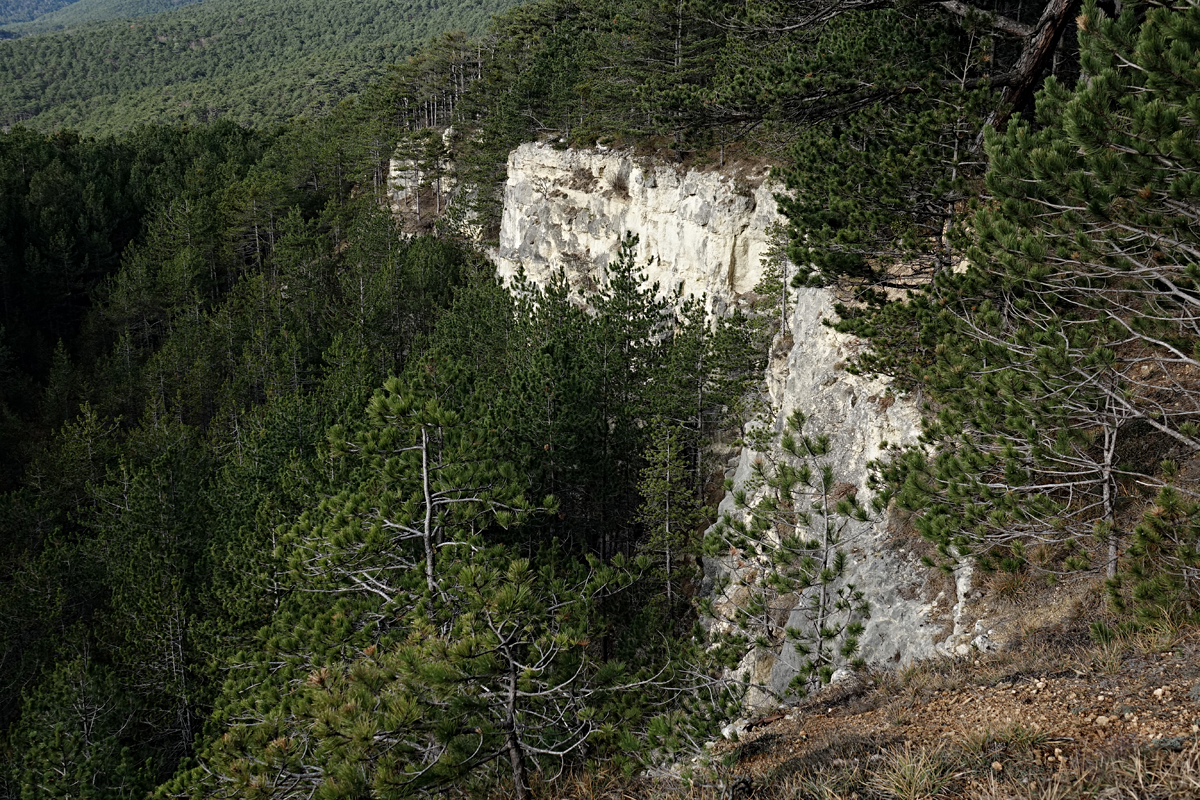 Wanderung Wöllersdorf 2021