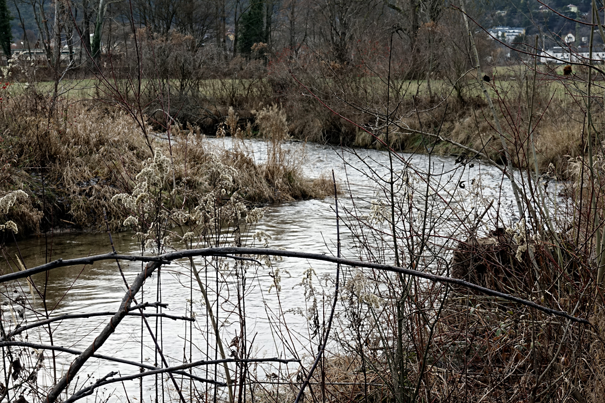 Wanderung Wöllersdorf 2021