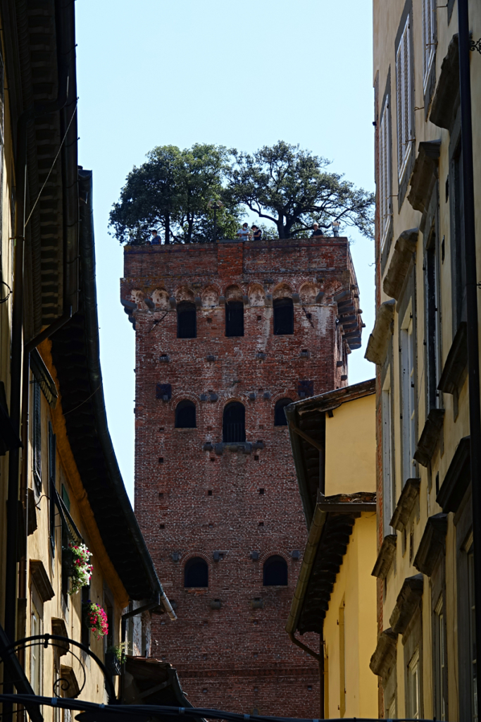Lucca 2021 - Torre Guinigi