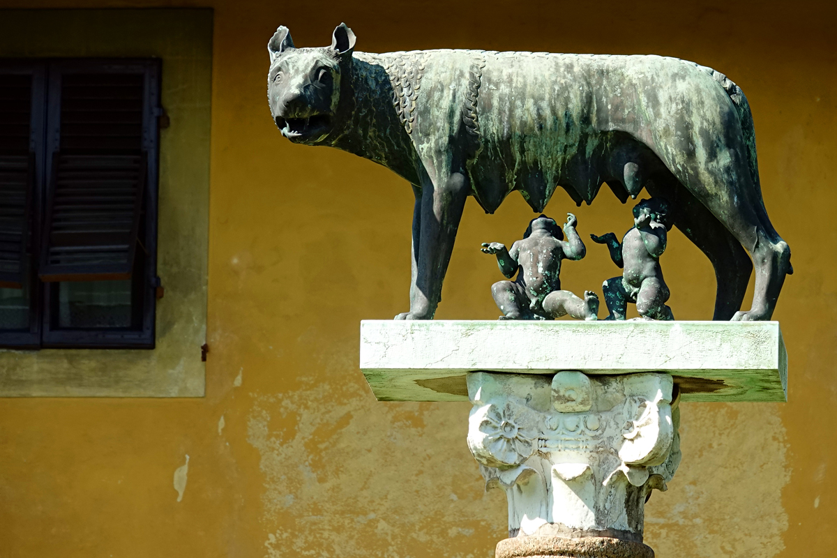 Pisa 2021 – Lupa Capitolina Pisa 2021 – Lupa Capitolina