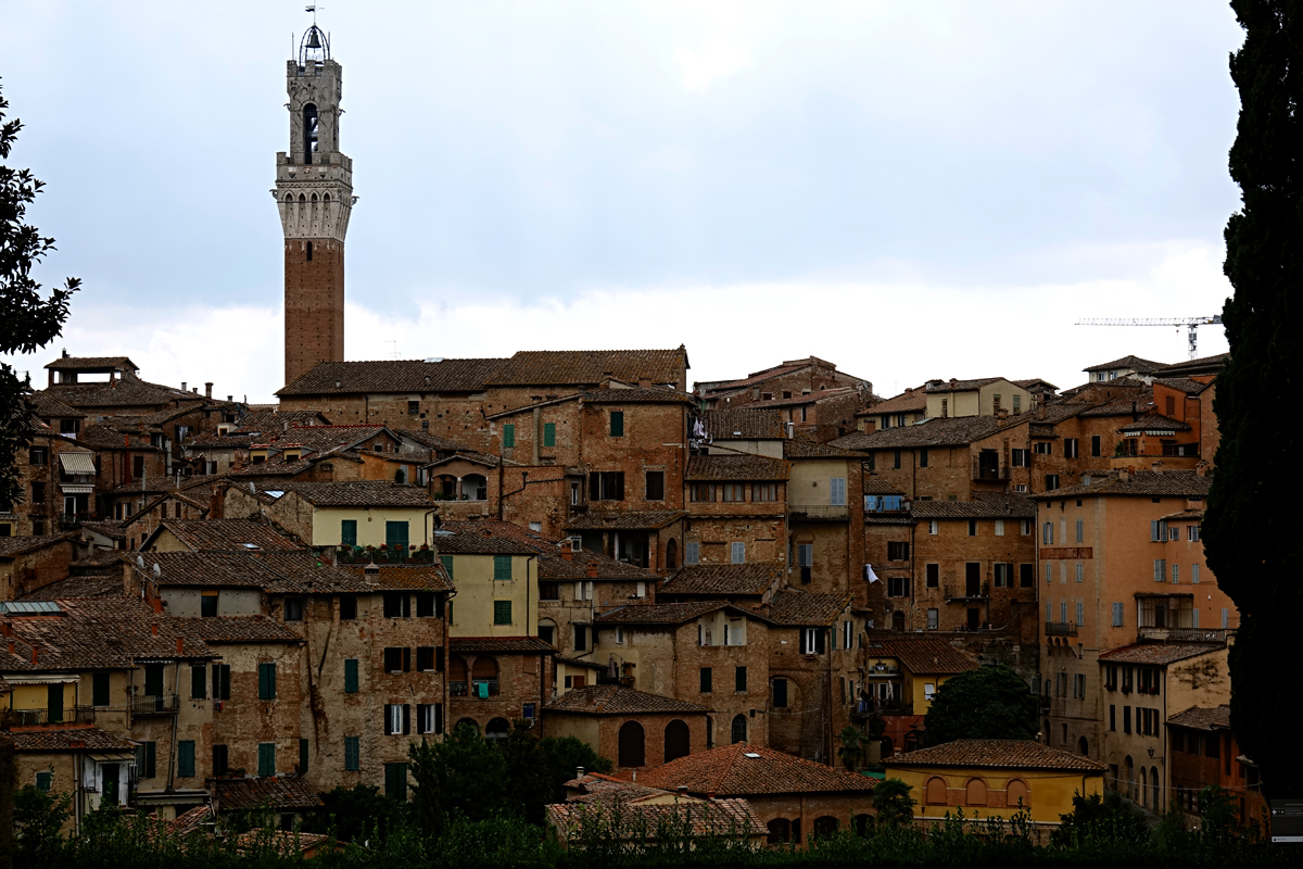 Siena 2021 - Blick auf Torre del Mangia