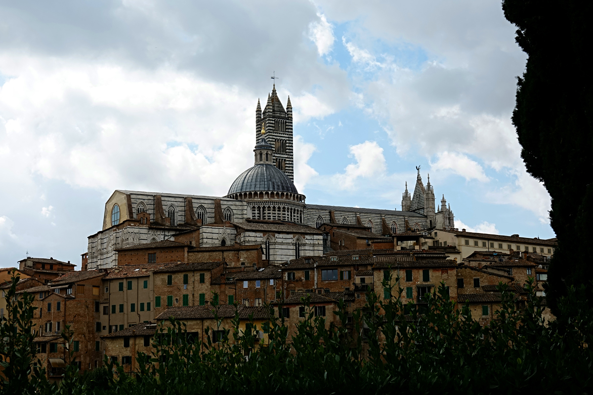 Siena 2021 - Blick auf Duomo di Siena