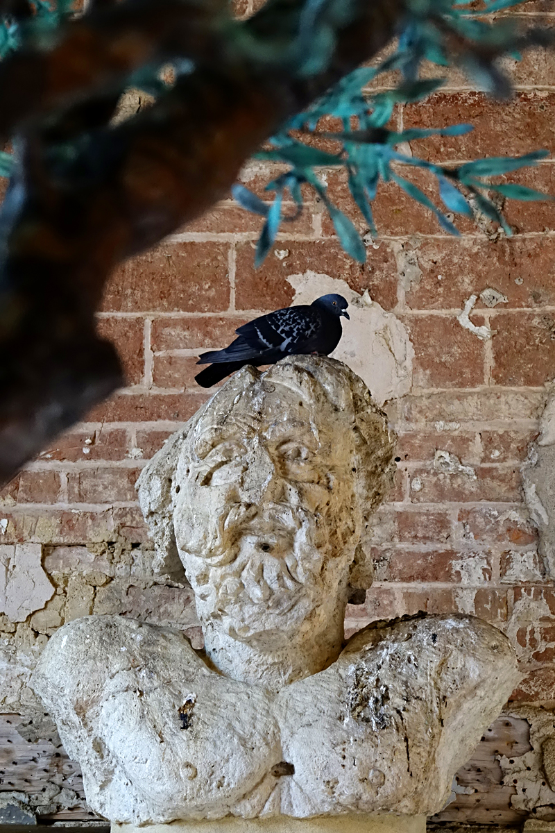 Siena 2021 - Impression