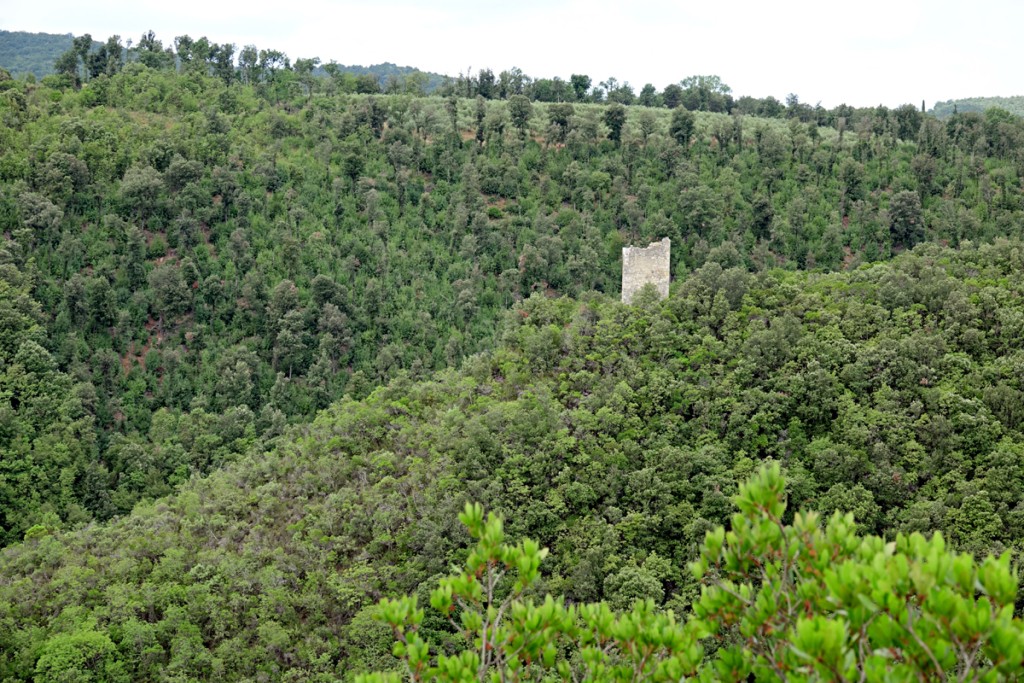 Toskana 2021 - Castelvecchio