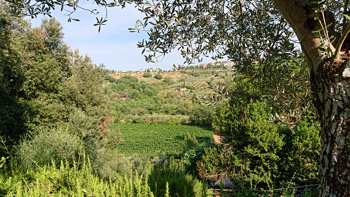 Toskana 2021 - Tenuta Sant'Ilario