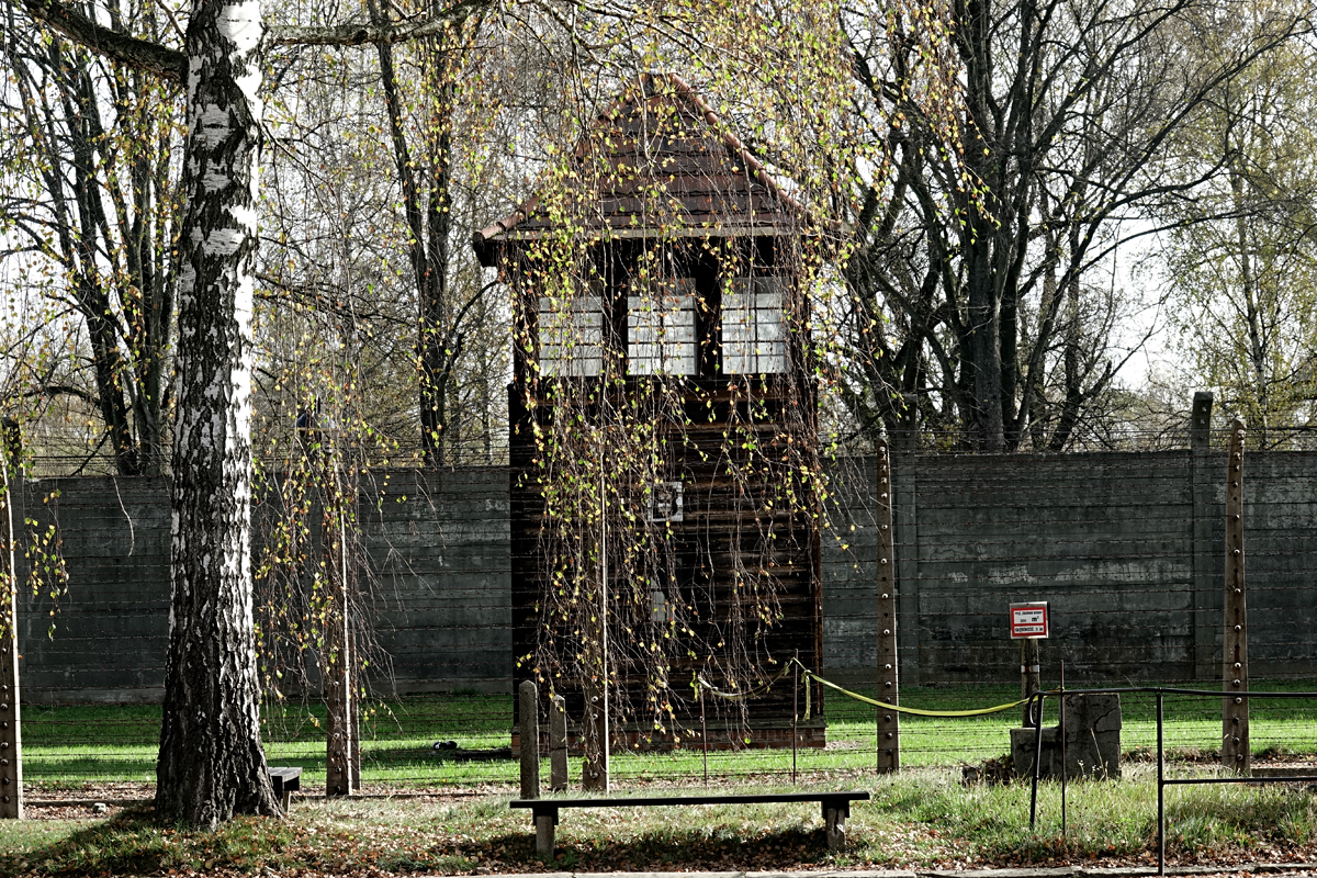 KZ Auschwitz 2022 - Stammlager