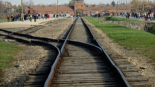 KZ Auschwitz 2022 - Birkenau