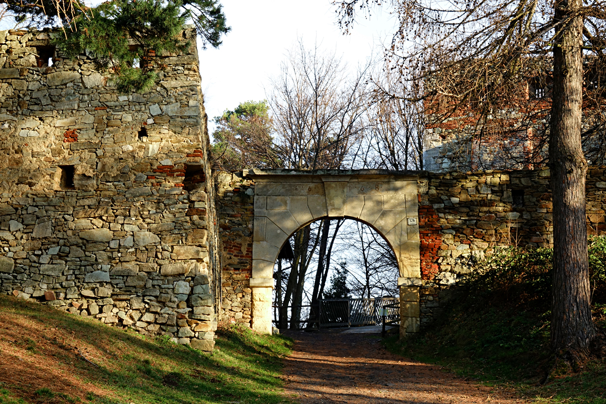 Burgruine Landsee