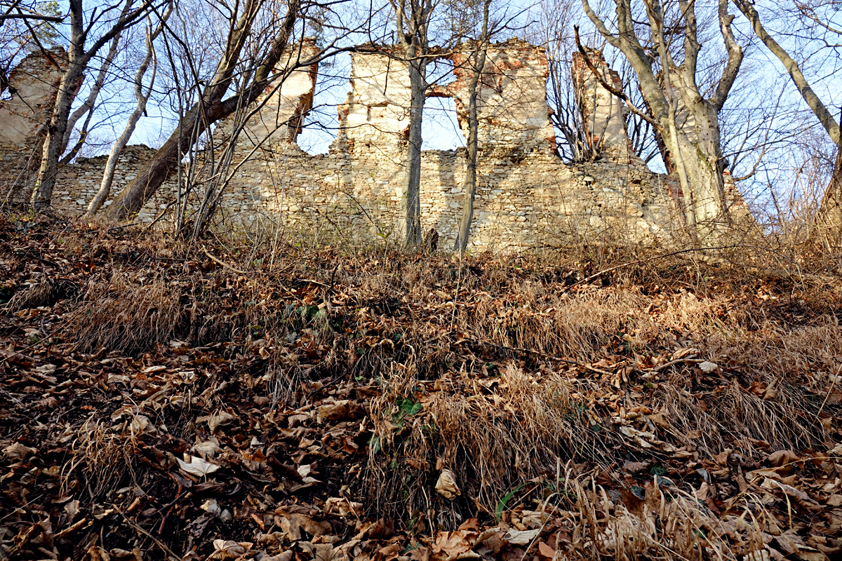 Burgruine Landsee