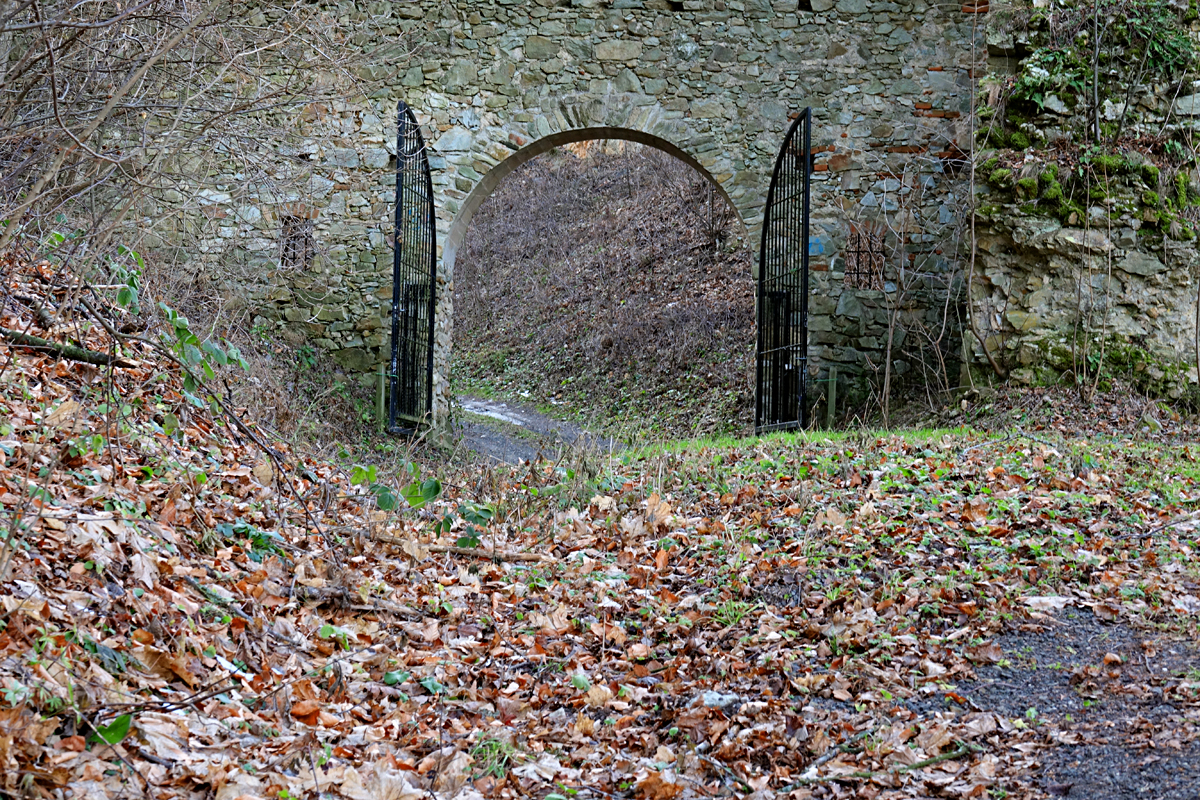 Burgruine Landsee