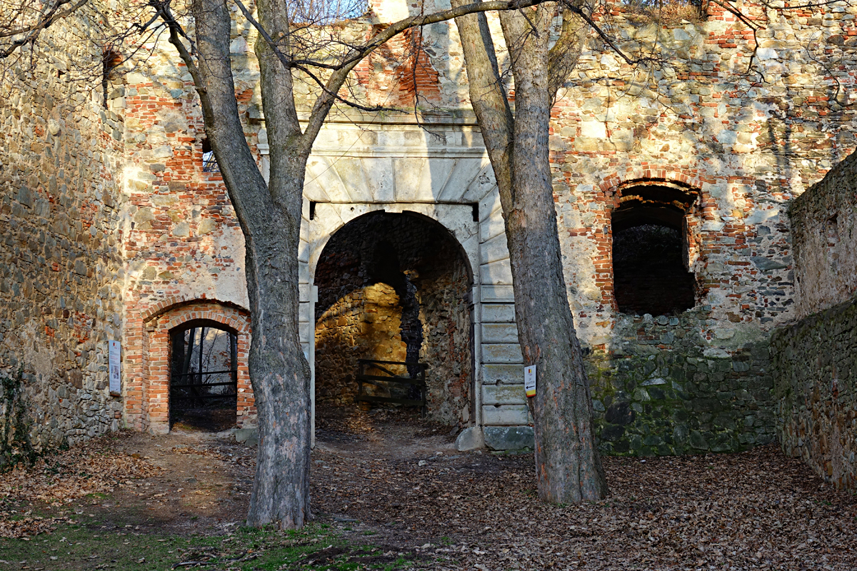 Burgruine Landsee