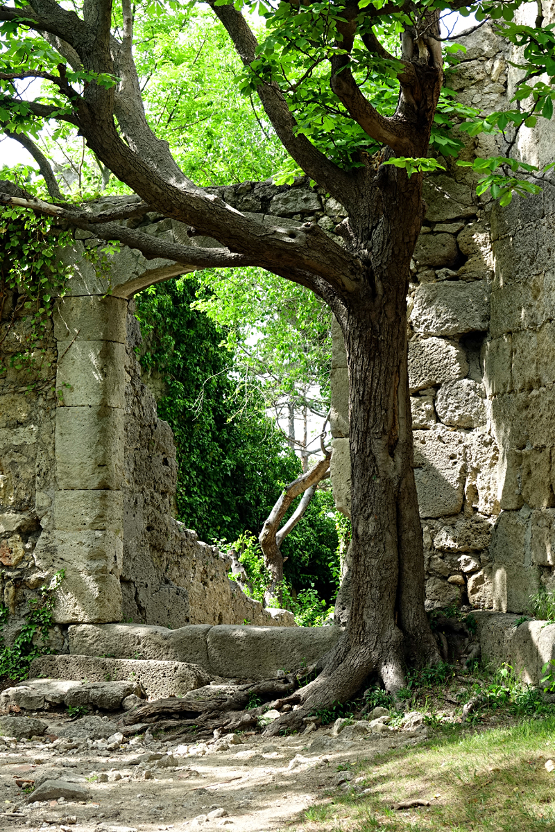 Wanderung Rauheneck