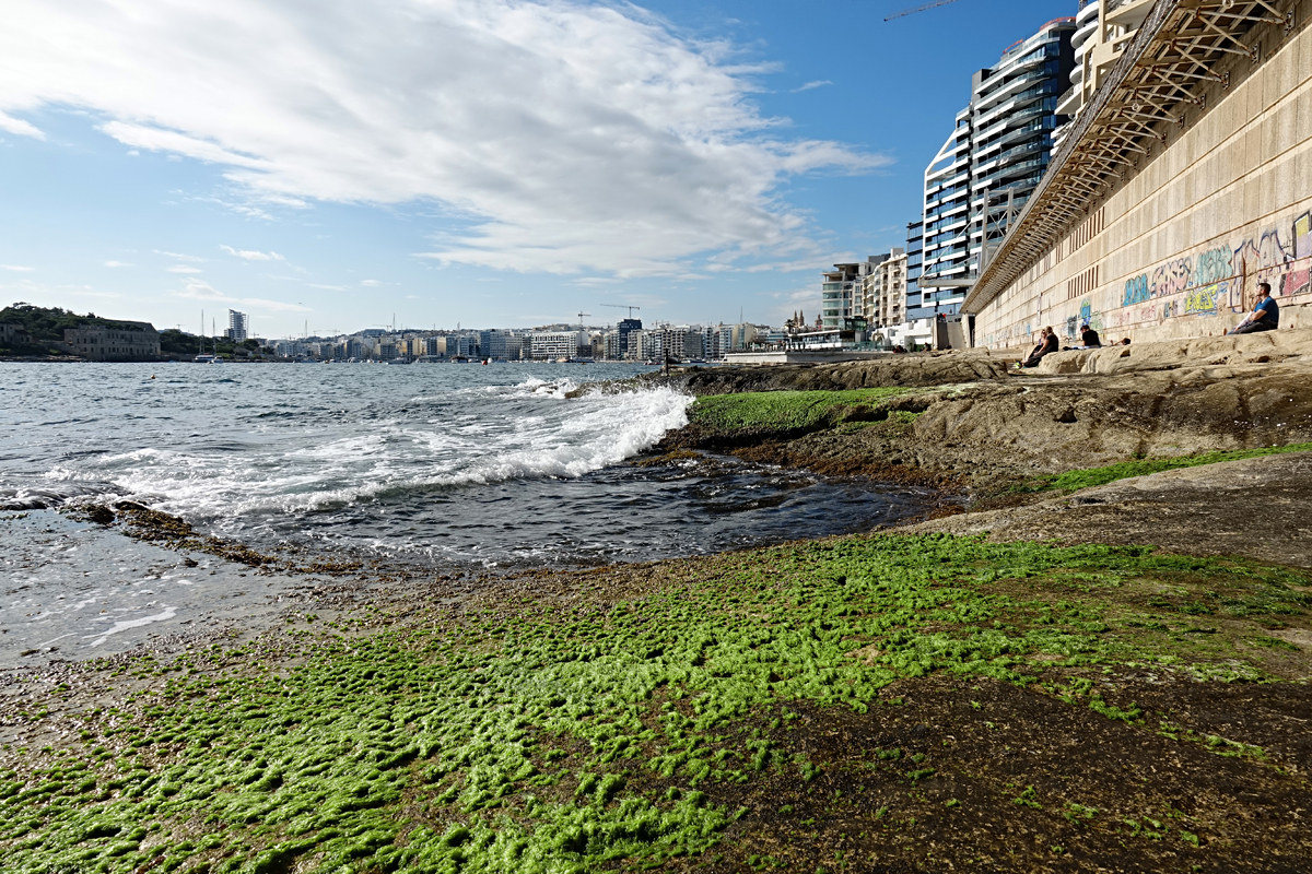 Sliema - Blick auf Sliema