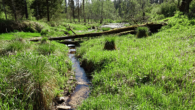 Lode - Laņģu-Klippen Wanderung