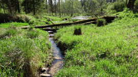 Lode - Laņģu-Klippen Wanderung