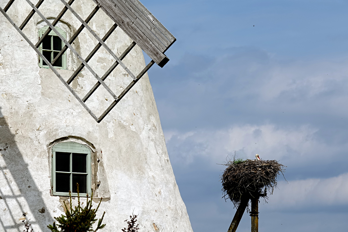 Āraišu - Windmühle