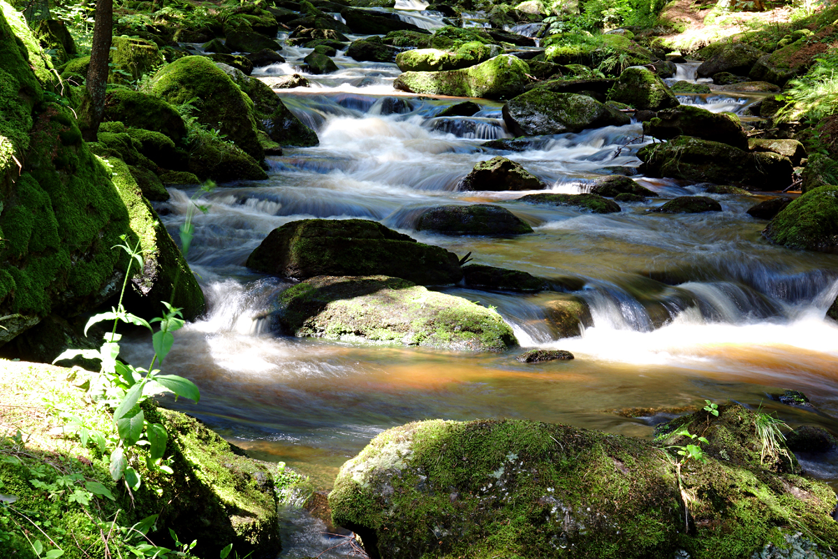 Höllfall