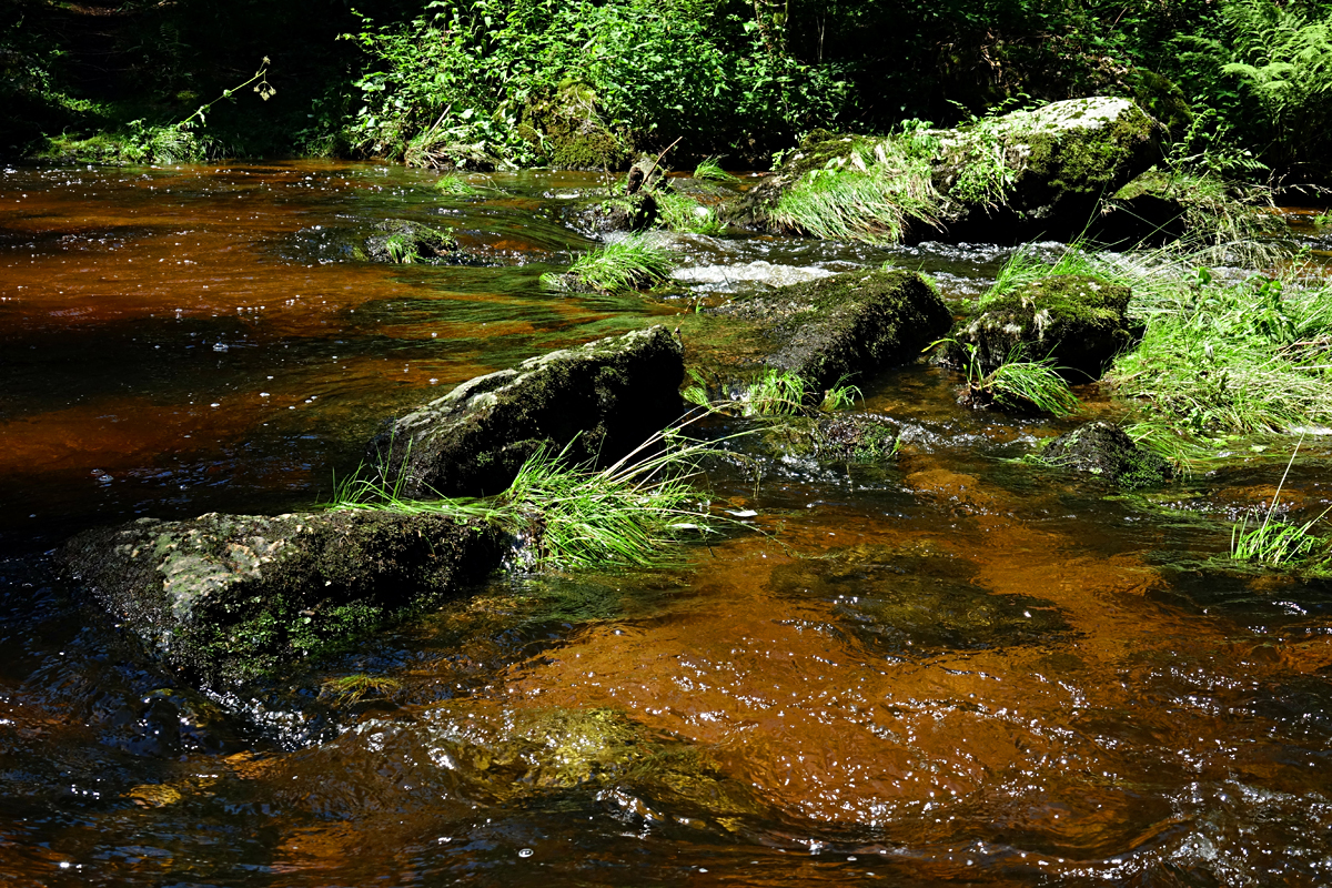 Höllfall