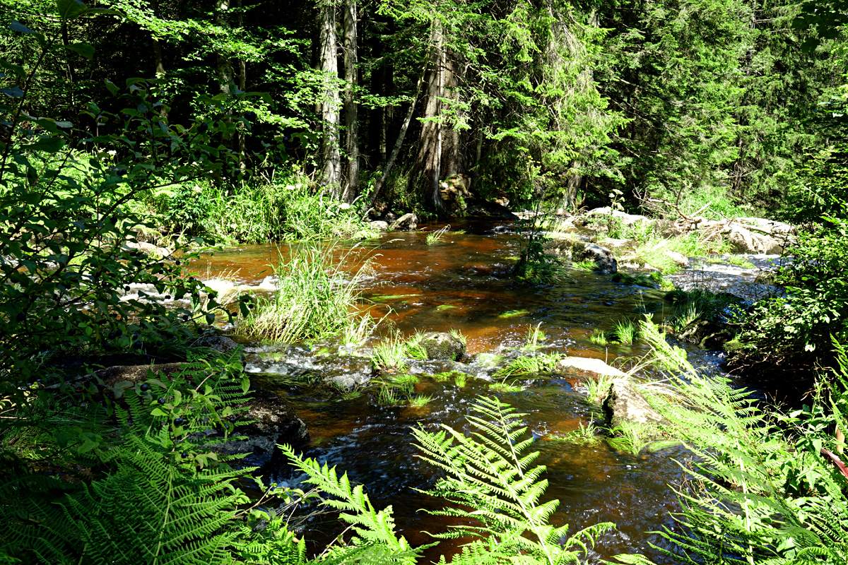 Höllfall