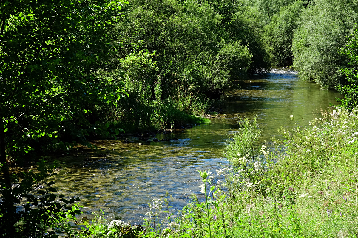 Naturpark Falkenstein