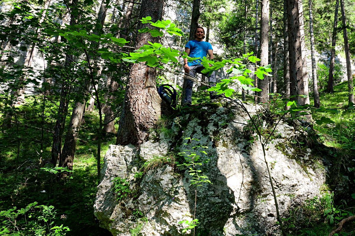 Naturpark Falkenstein