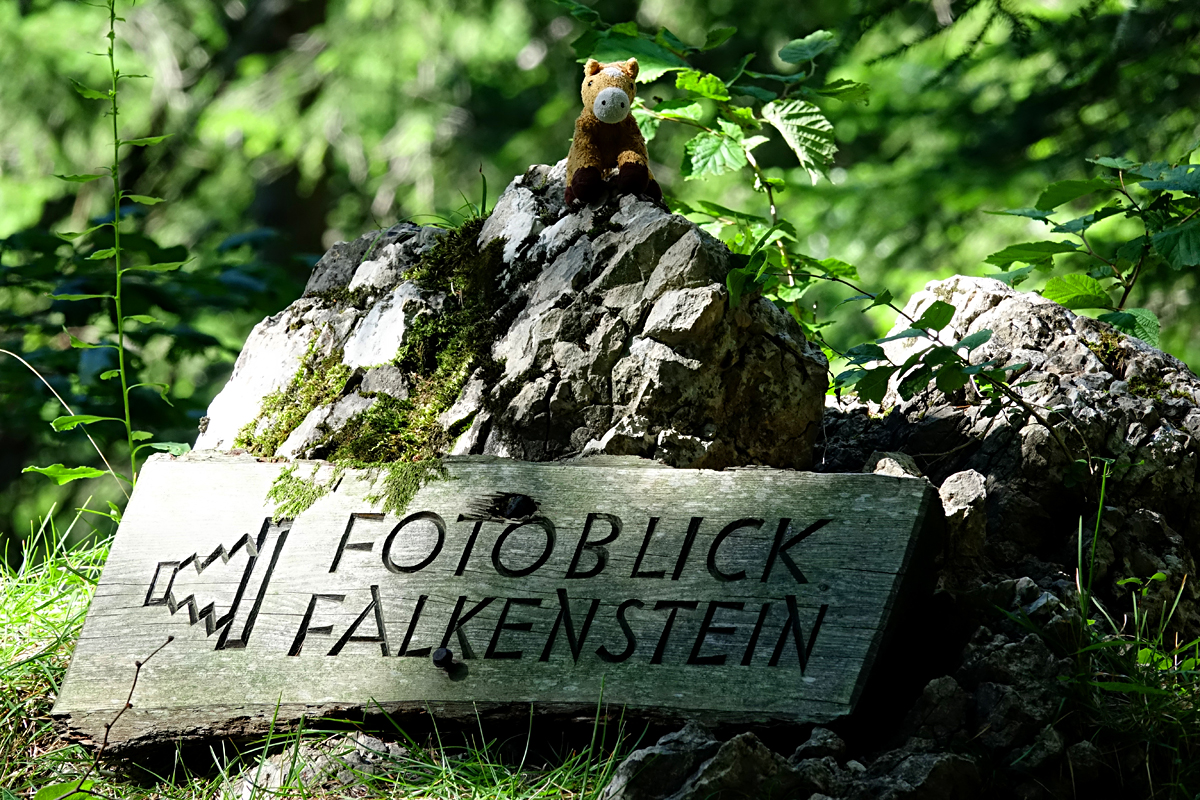 Naturpark Falkenstein