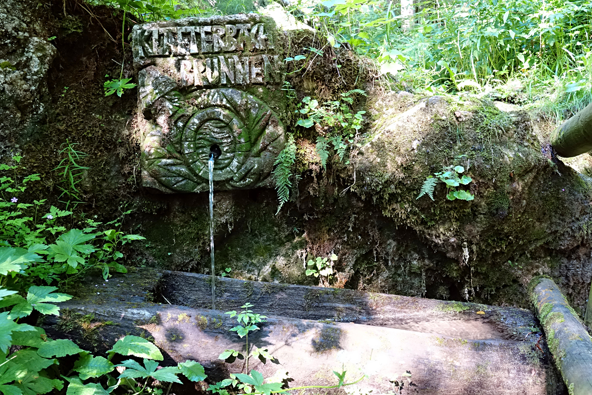 Naturpark Falkenstein