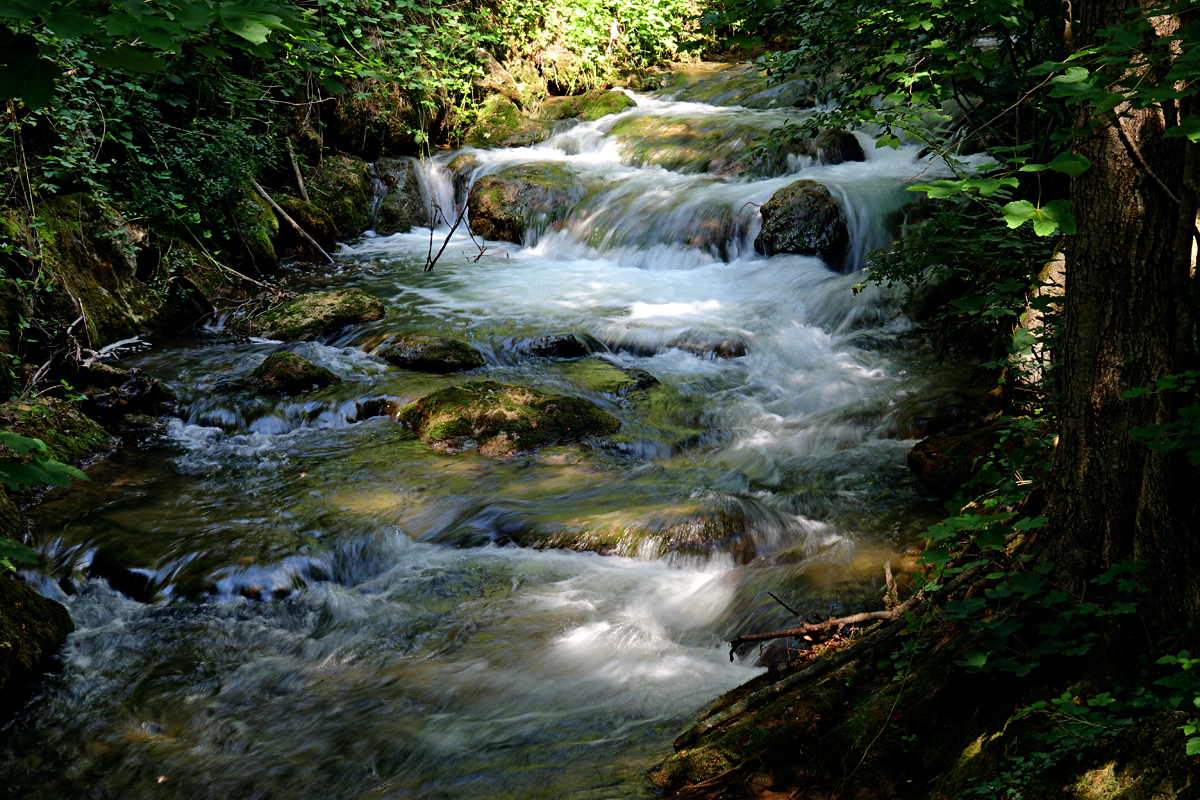 Naturpark Sieringtal