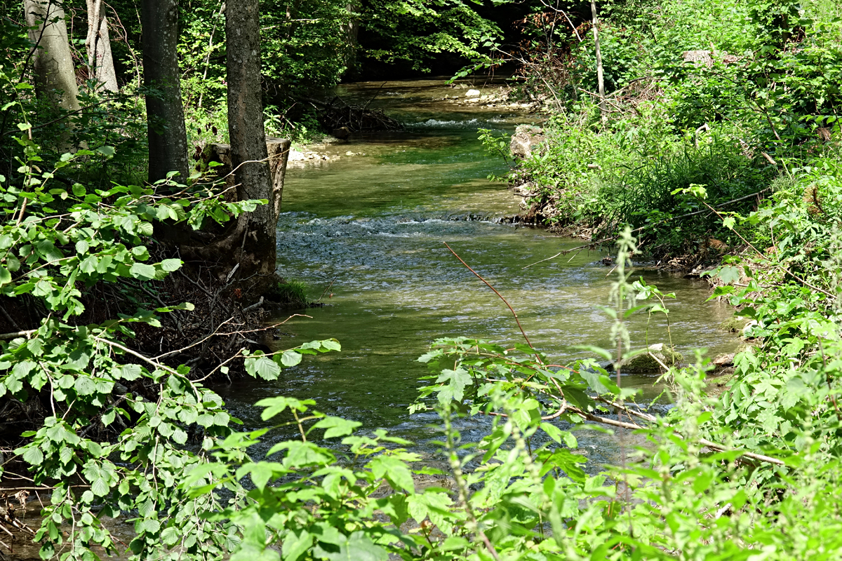 Naturpark Sieringtal