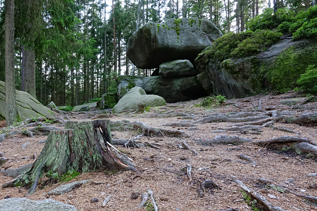 Heidenreichsteiner Hochmoor