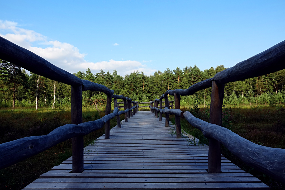 Heidenreichsteiner Hochmoor