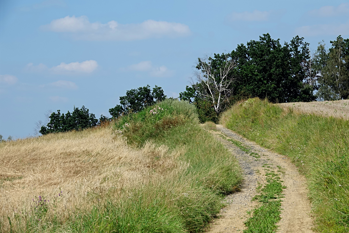 Naturpark Dobersberg