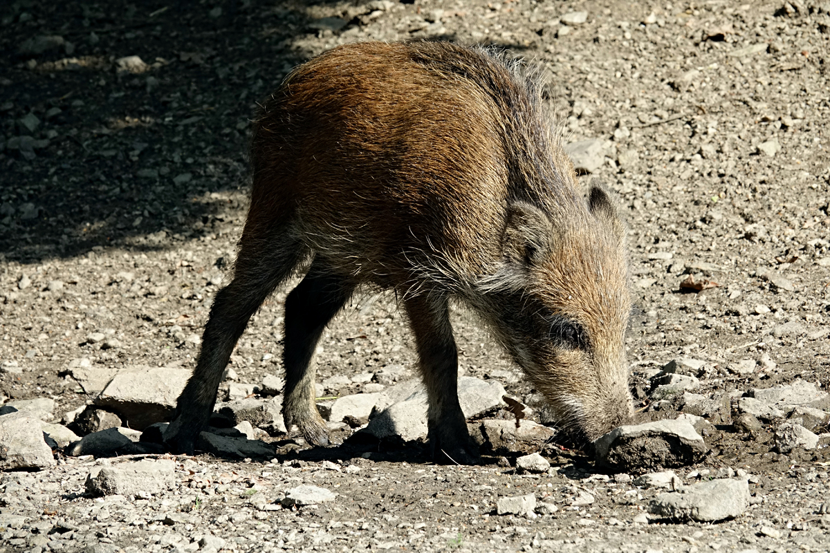 Naturpark Dobersberg